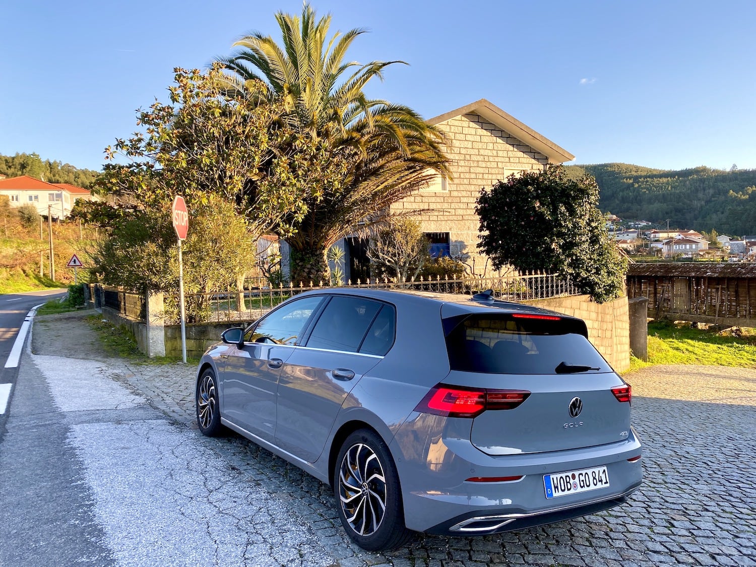 VW Golf 8 04 moonstone grey bak venstre med palme - Nybiltester